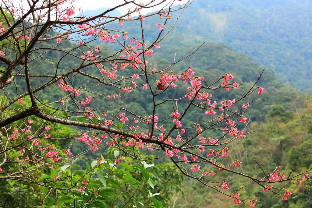 Spring Spa Hotel Wulai Exteriör bild