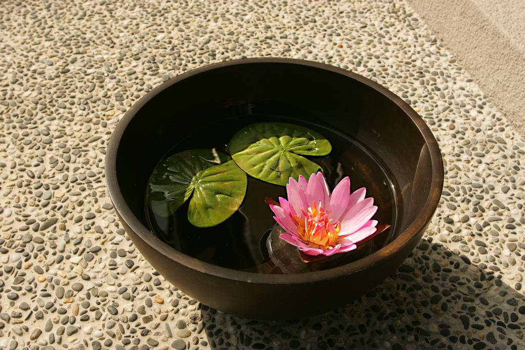 Spring Spa Hotel Wulai Exteriör bild